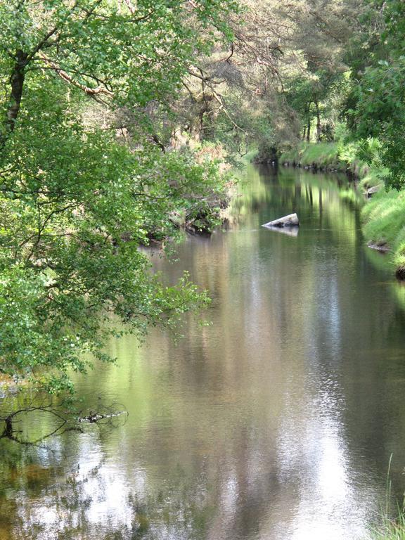 Riversdale House Accommodation Laragh Εξωτερικό φωτογραφία