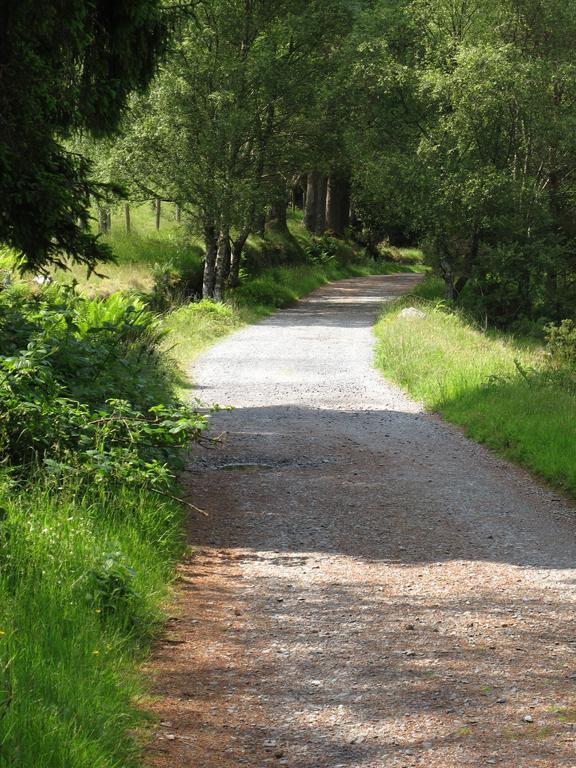 Riversdale House Accommodation Laragh Εξωτερικό φωτογραφία