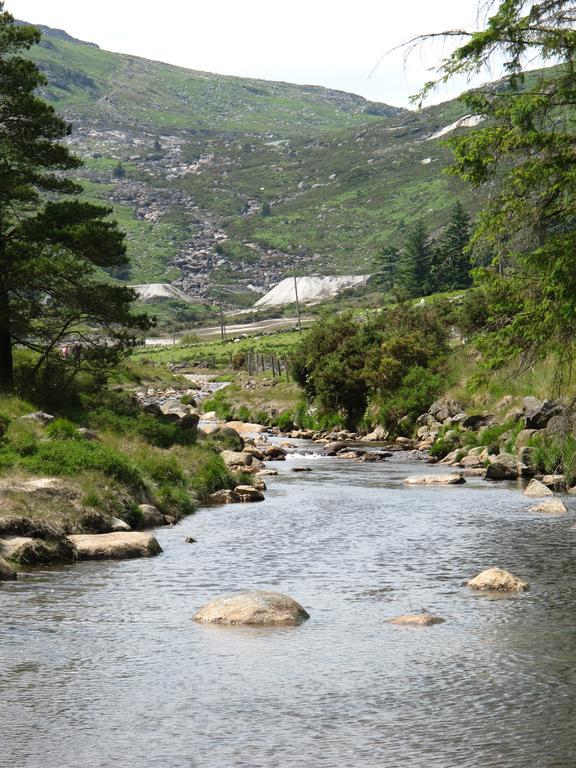 Riversdale House Accommodation Laragh Εξωτερικό φωτογραφία